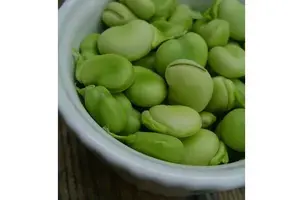 orta doğu