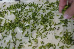 orta doğu